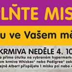 Pomozte naplnit misky v útulcích v Oc Nisa Liberec